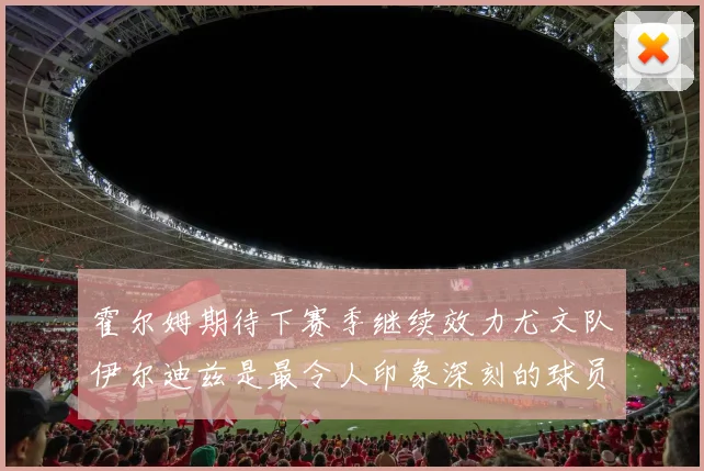 霍尔姆期待下赛季继续效力尤文队伊尔迪兹是最令人印象深刻的球员