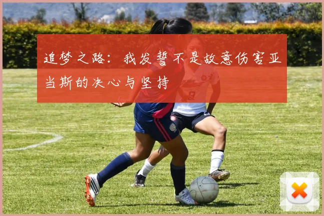 追梦之路：我发誓不是故意伤害亚当斯的决心与坚持
