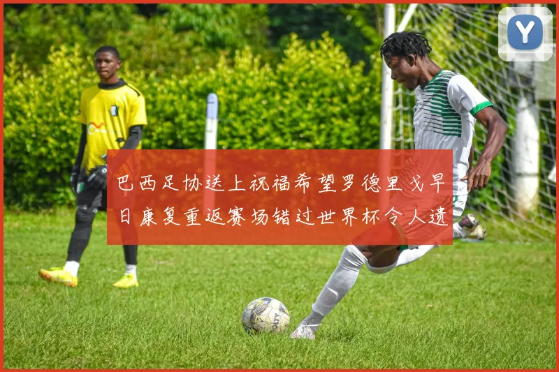 巴西足协送上祝福希望罗德里戈早日康复重返赛场错过世界杯令人遗憾